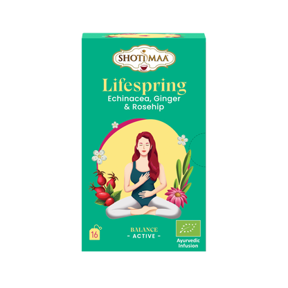 Lifespring - Organic Echinacea, Ginger & Rosehip Infusion - Shoti Maa