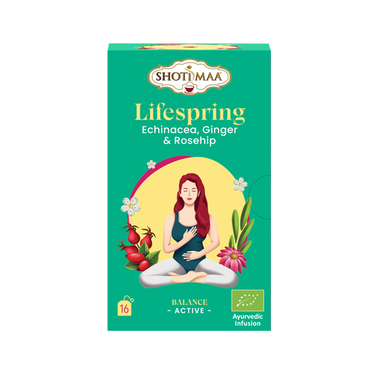 Lifespring - Organic Echinacea, Ginger & Rosehip Infusion - Shoti Maa