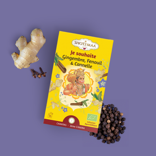 Je souhaite - Infusion Gingembre, Fenouil et Cannelle Bio - Shoti Maa