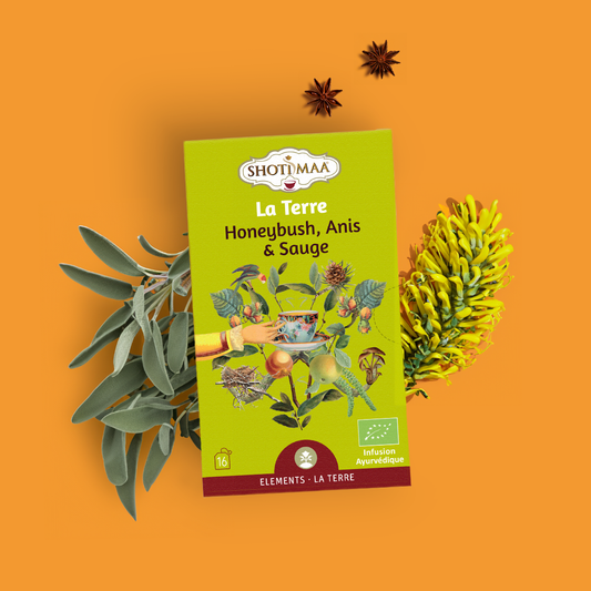 La Terre - Infusion Honeybush, Anis & Sauge BIO - Shoti Maa