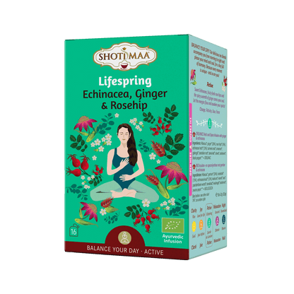 Lifespring - Organic Echinacea, Ginger & Rosehip Infusion - Shoti Maa